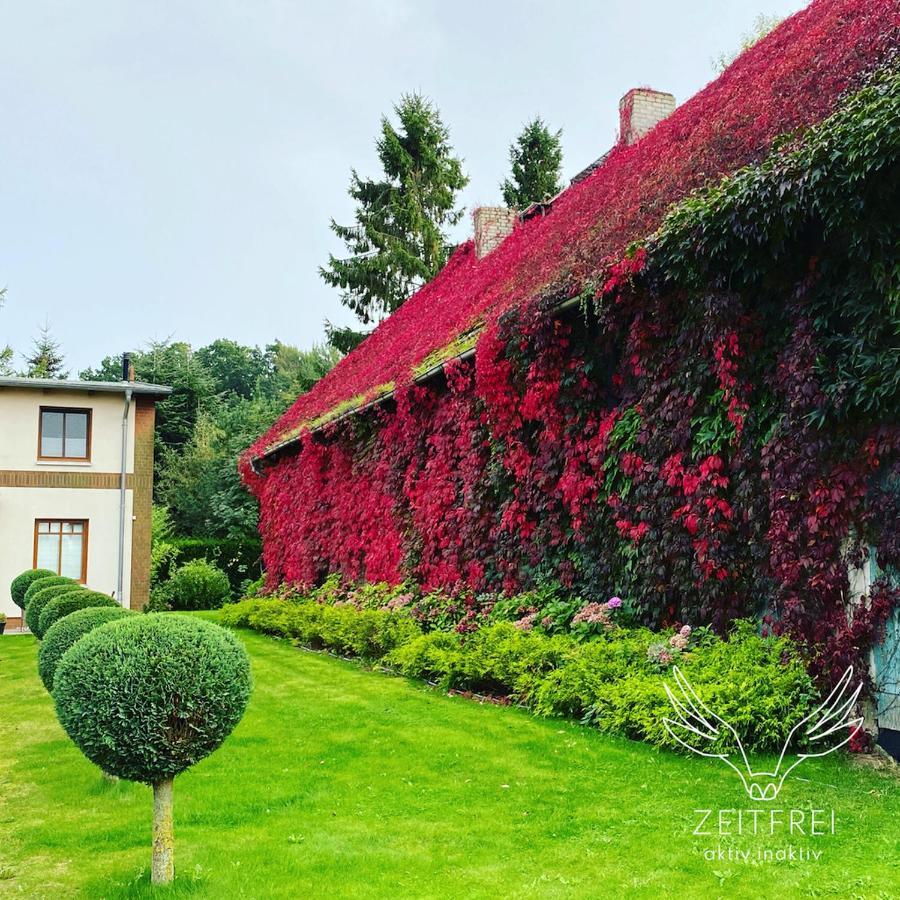 Zeitfrei Urlaubsappartememts & Veranstaltungsort Steffenshagen Exteriér fotografie